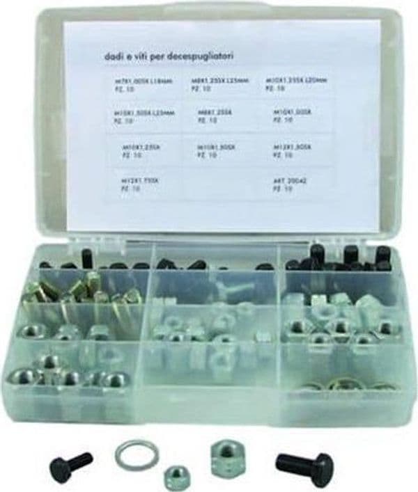 DADI E VITI PER DECESPUGLIATORE - 110 PEZZI ASSORTITI - in scatola FER 143103