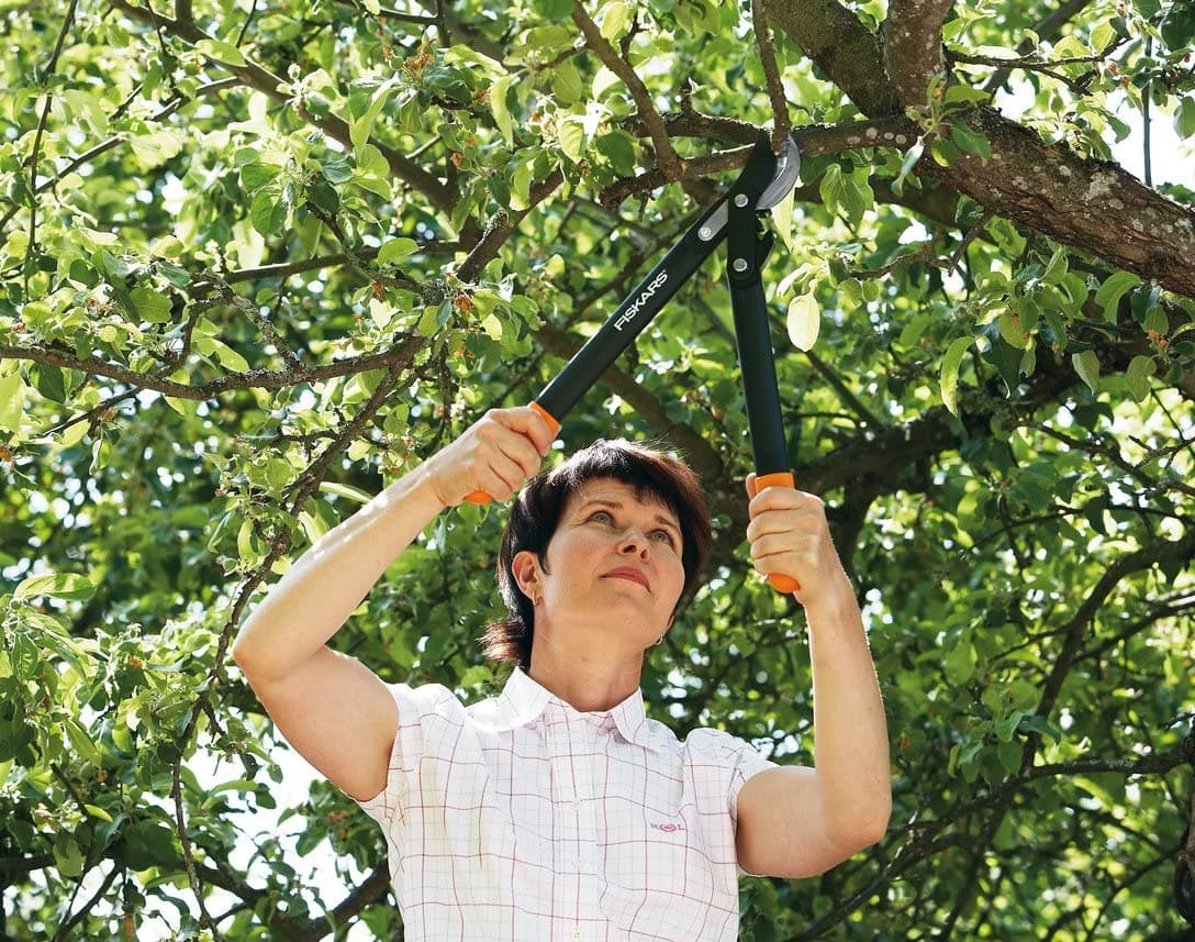 FISKARS - TRONCARAMI BY-PASS A UNCINO POWERGEAR lunghezza cm.46 FER 303385 in prodotto EuroStore07 - Alatri, commercioVirtuoso.it