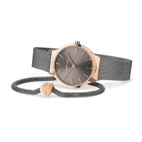 Bering  Orologio Classic oro rosa brilliante in Orologi da polso Alba Gioielli - Casoria, commercioVirtuoso.it