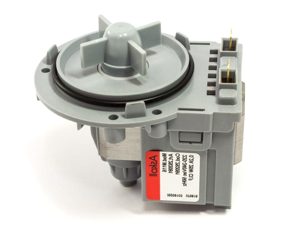 POMPA LAVATRICE MAGNETICA ASKOLL ATTACCHI ALTI 25W UNIVERSALE P 248 in prodotto EuroStore07 - Alatri, commercioVirtuoso.it