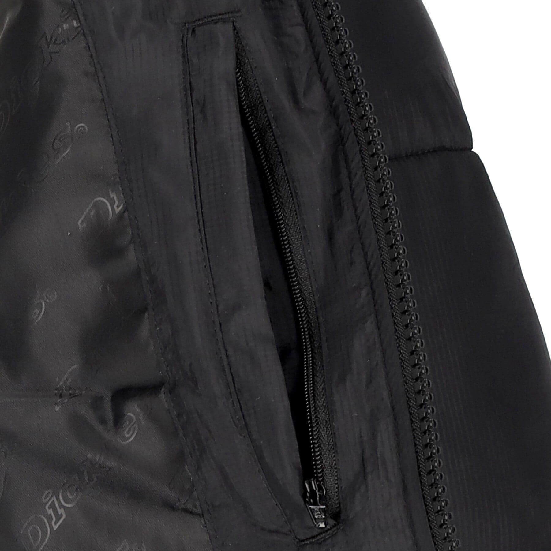 DICKIES Piumino Uomo Waldenburg Hooded Jacket Black da uomo in Giacche Drestige - Casamassima, commercioVirtuoso.it