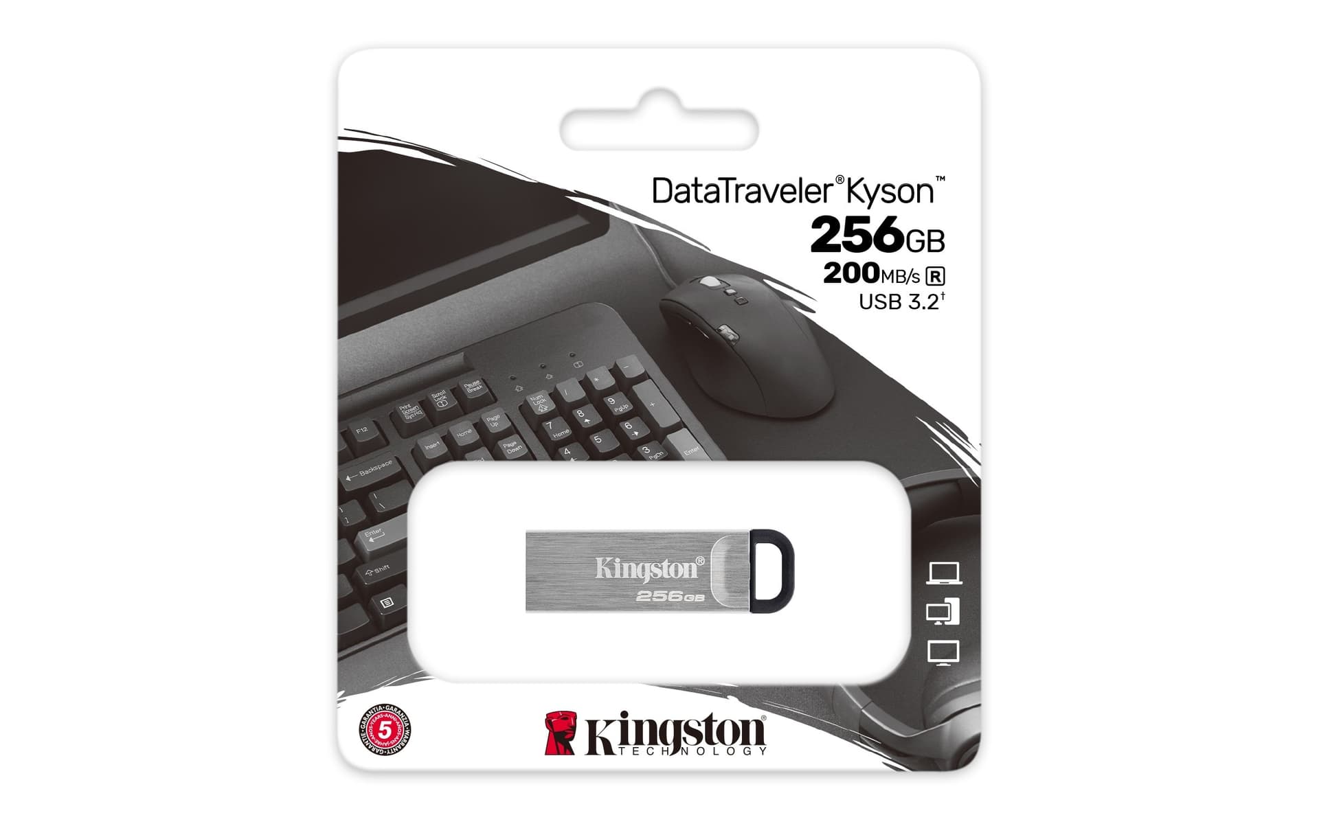 Kingston Pendrive USB-A 3.2256GB DTKN/256GB Kyson Argento in  Ecoprice.it - Avellino, commercioVirtuoso.it