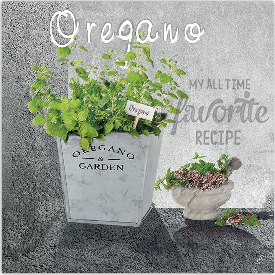 Quadro su tela, Spezie di cucina di origano in Poster e stampe Collezione Casa - Trebisacce, commercioVirtuoso.it