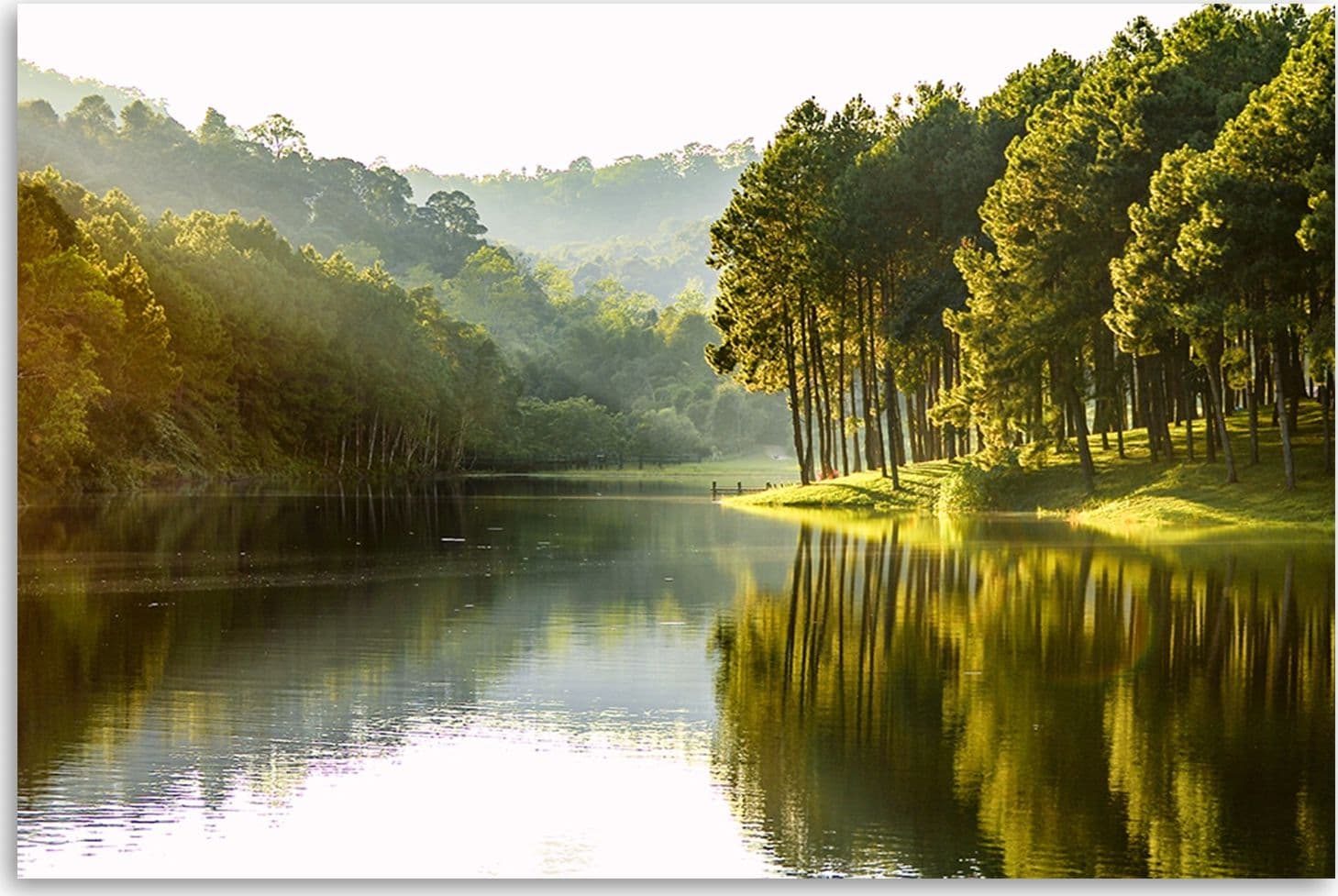 Quadro su tela, Natura dell'albero della foresta paesaggistica in Poster e stampe Collezione Casa - Trebisacce, commercioVirtuoso.it