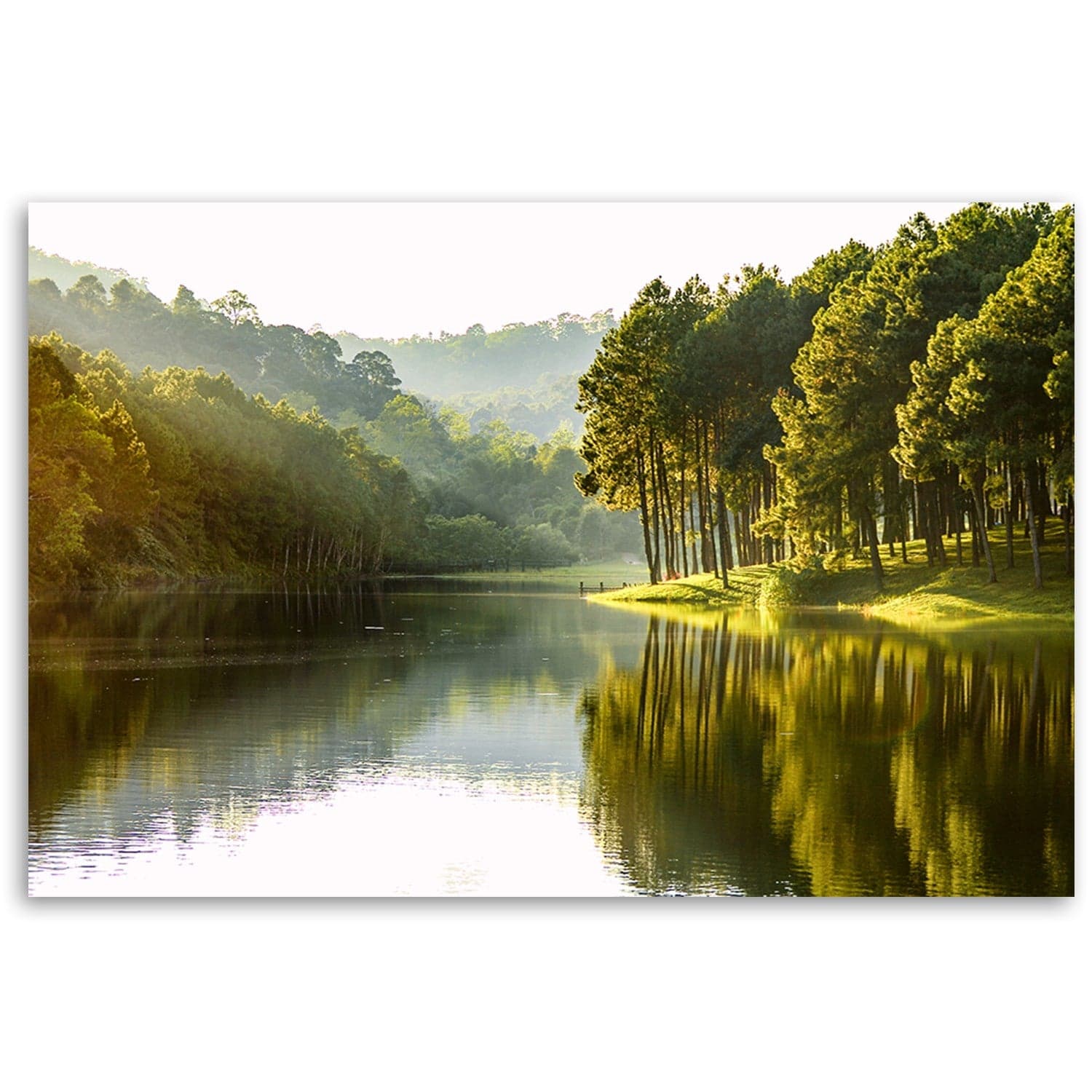 Quadro su tela, Natura dell'albero della foresta paesaggistica in Poster e stampe Collezione Casa - Trebisacce, commercioVirtuoso.it