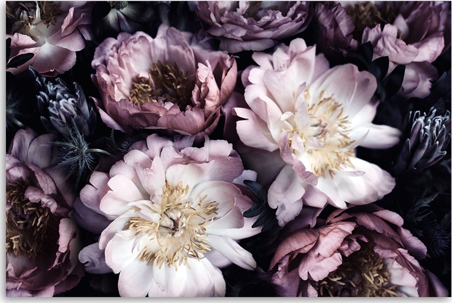 Quadro su tela, Giardino vintage per bouquet di fiori in Poster e stampe Collezione Casa - Trebisacce, commercioVirtuoso.it