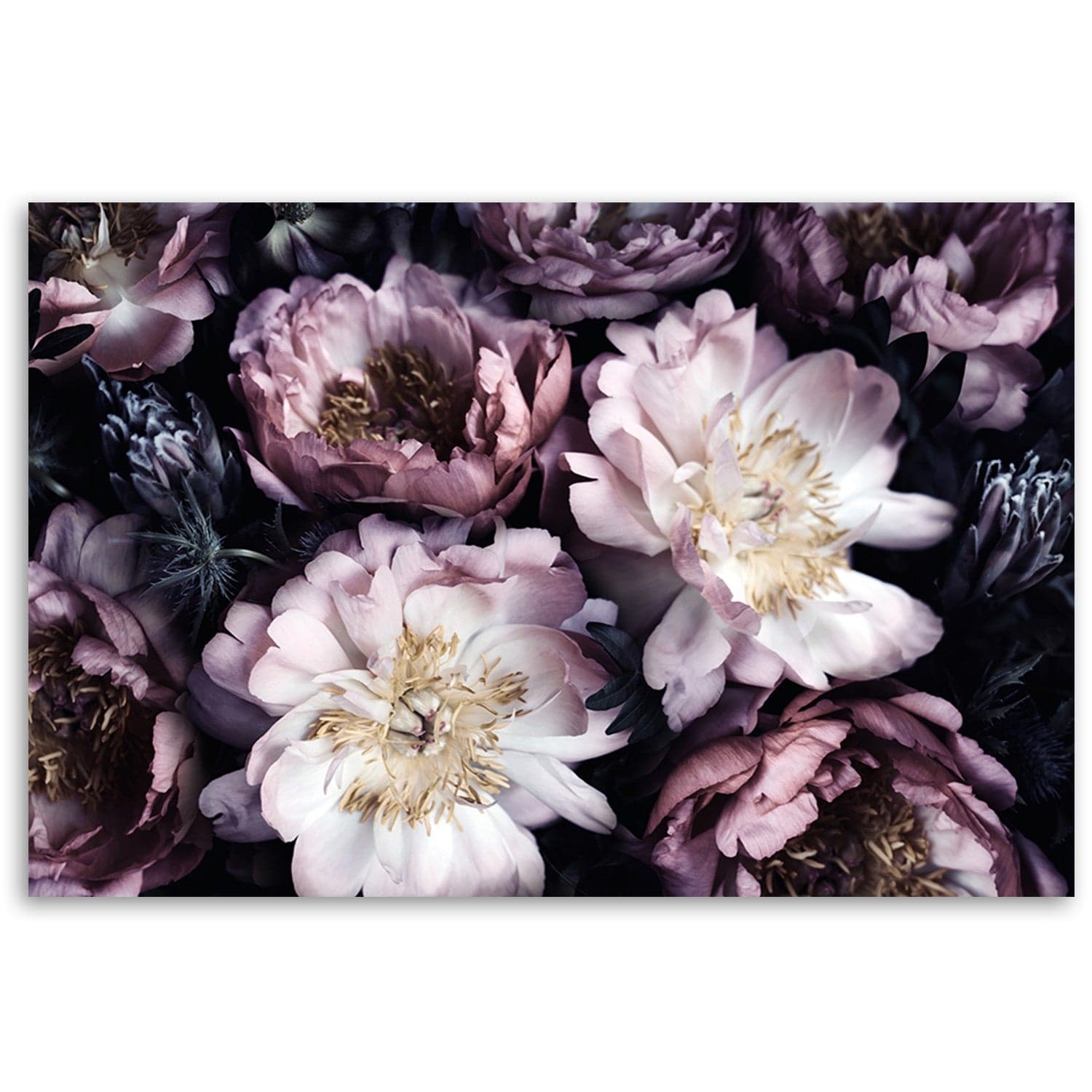 Quadro su tela, Giardino vintage per bouquet di fiori in Poster e stampe Collezione Casa - Trebisacce, commercioVirtuoso.it
