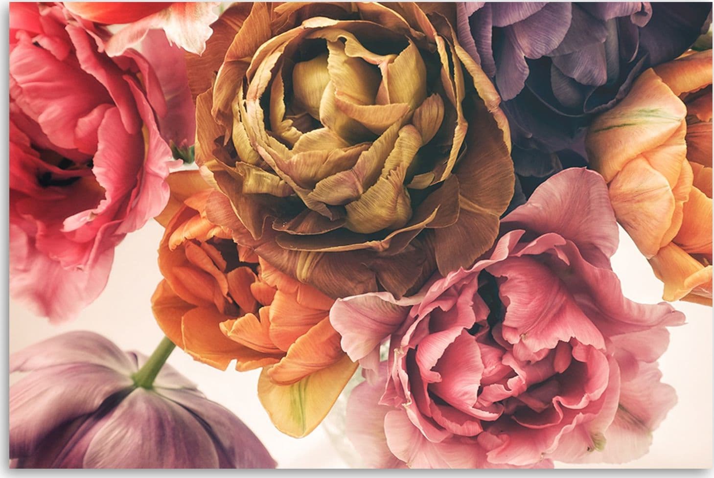 Quadro su tela, Un bouquet di fiori colorati in Poster e stampe Collezione Casa - Trebisacce, commercioVirtuoso.it