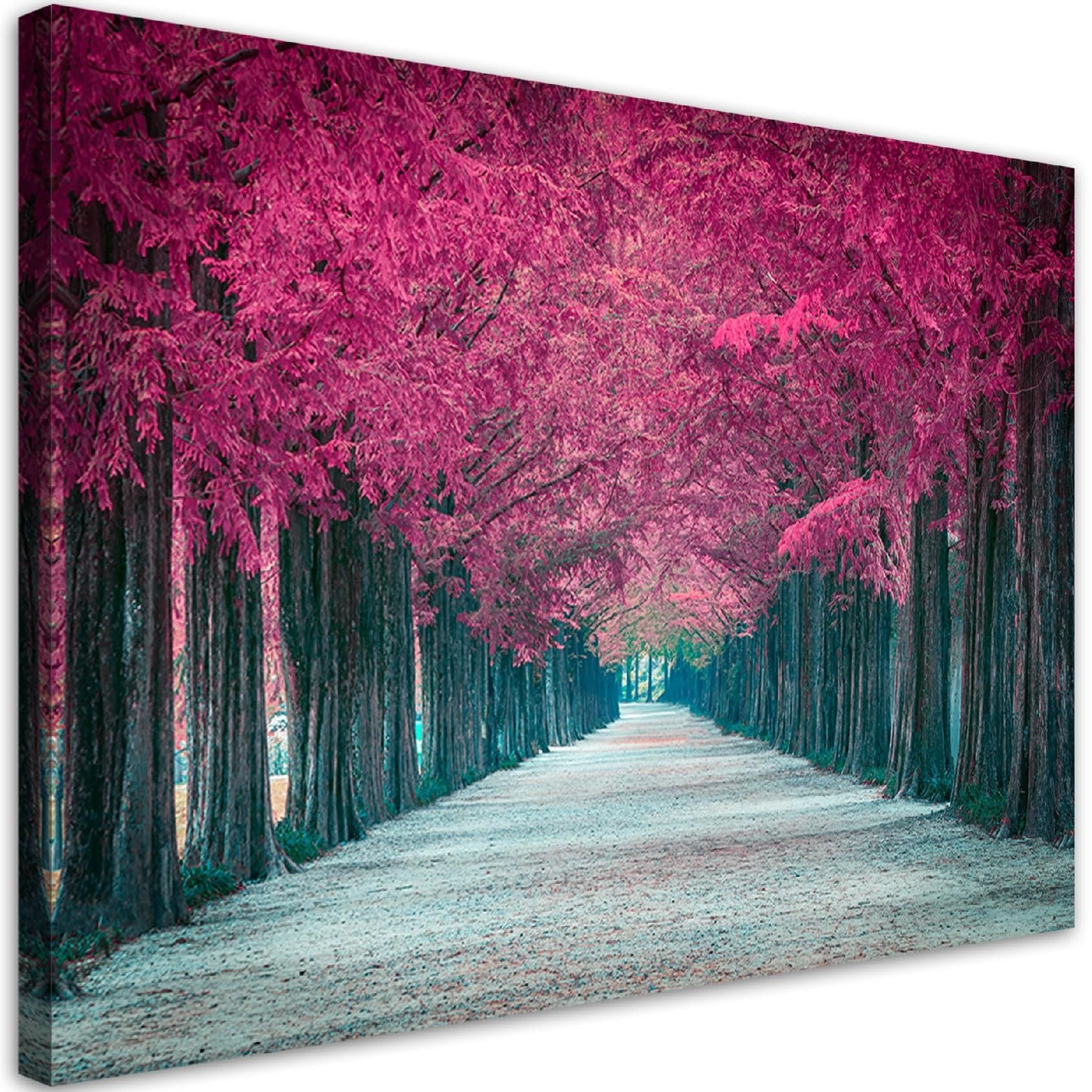 Quadro su tela, Avenue of Pink Trees in Poster e stampe Collezione Casa - Trebisacce, commercioVirtuoso.it