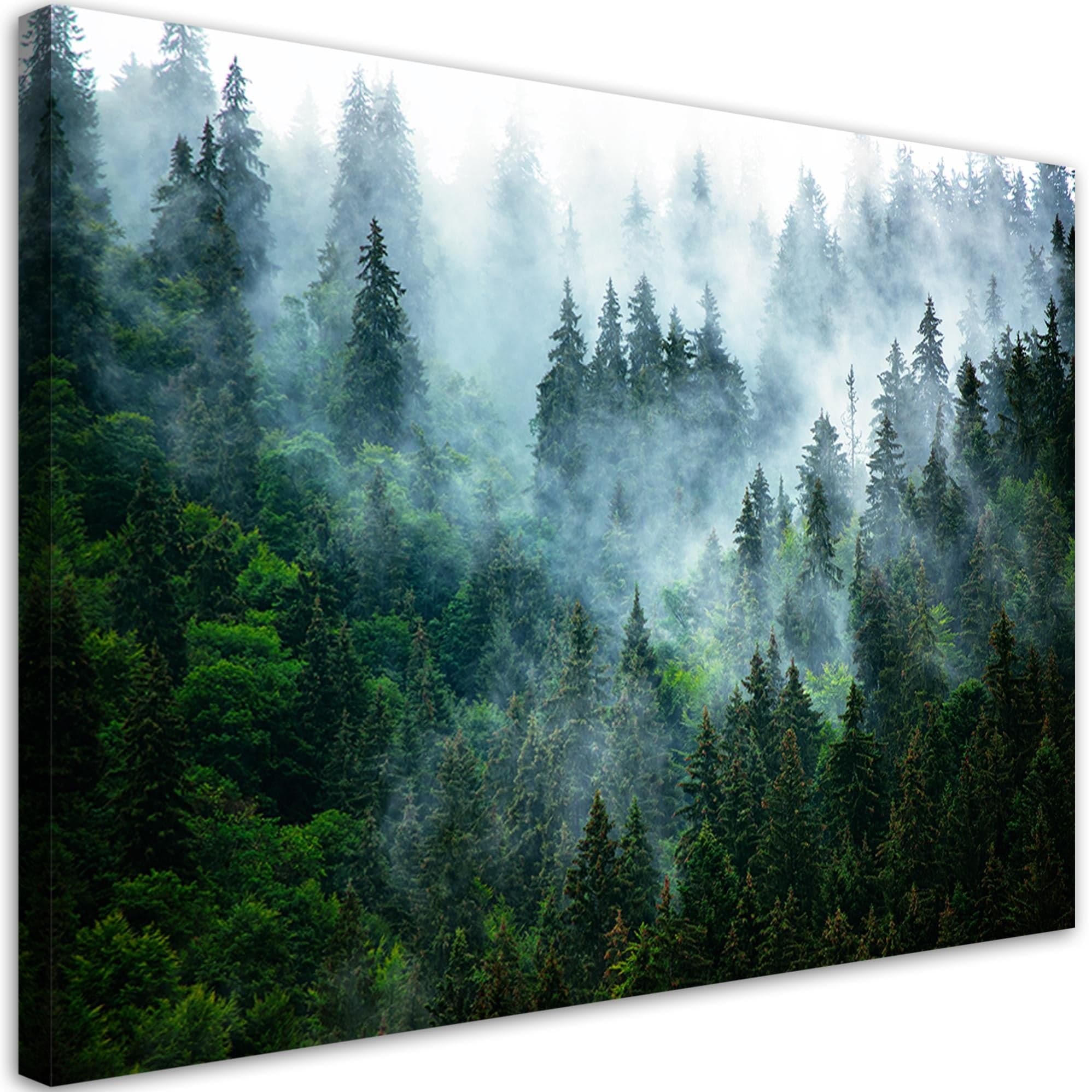 Quadro su tela, Foresta nella nebbia in Poster e stampe Collezione Casa - Trebisacce, commercioVirtuoso.it