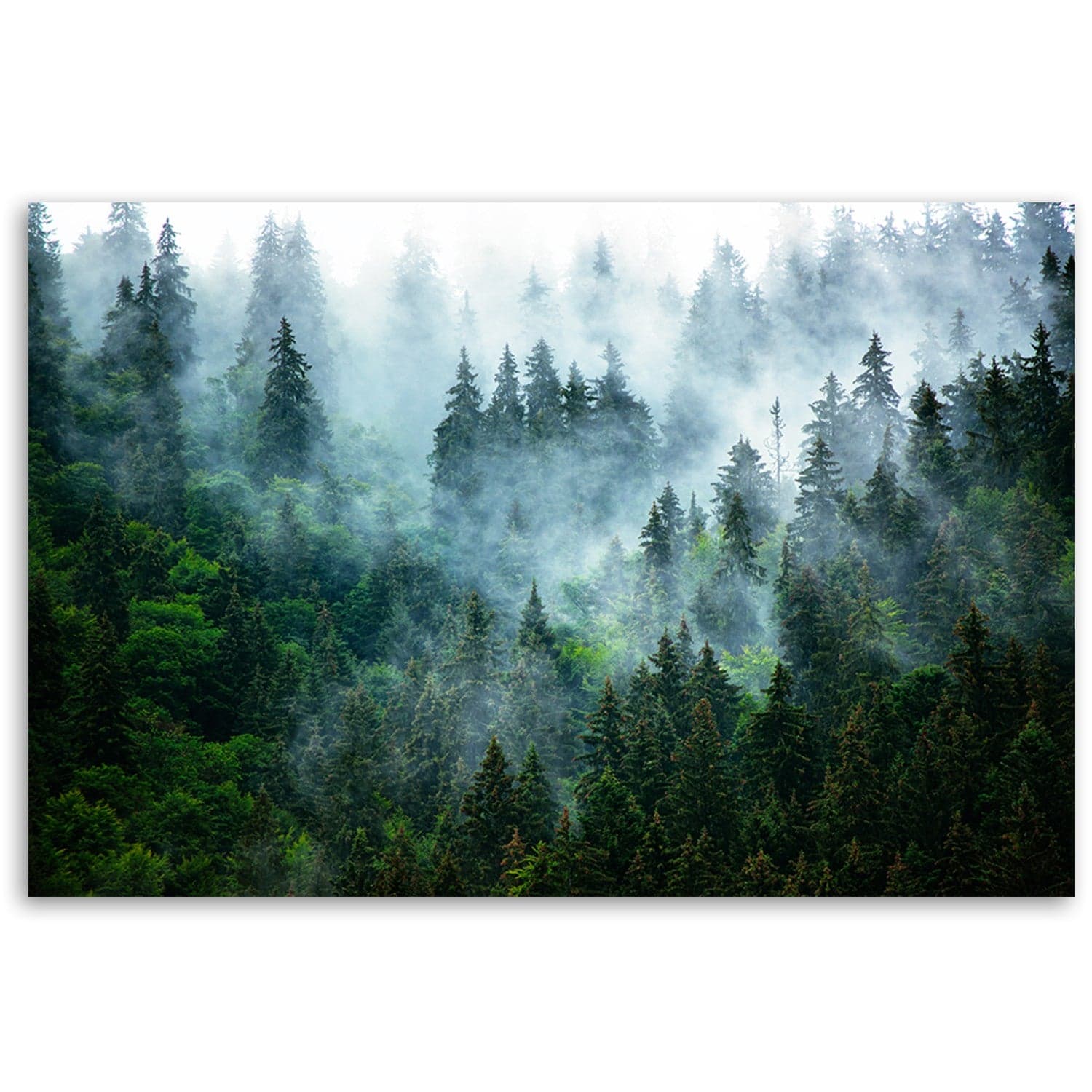 Quadro su tela, Foresta nella nebbia in Poster e stampe Collezione Casa - Trebisacce, commercioVirtuoso.it