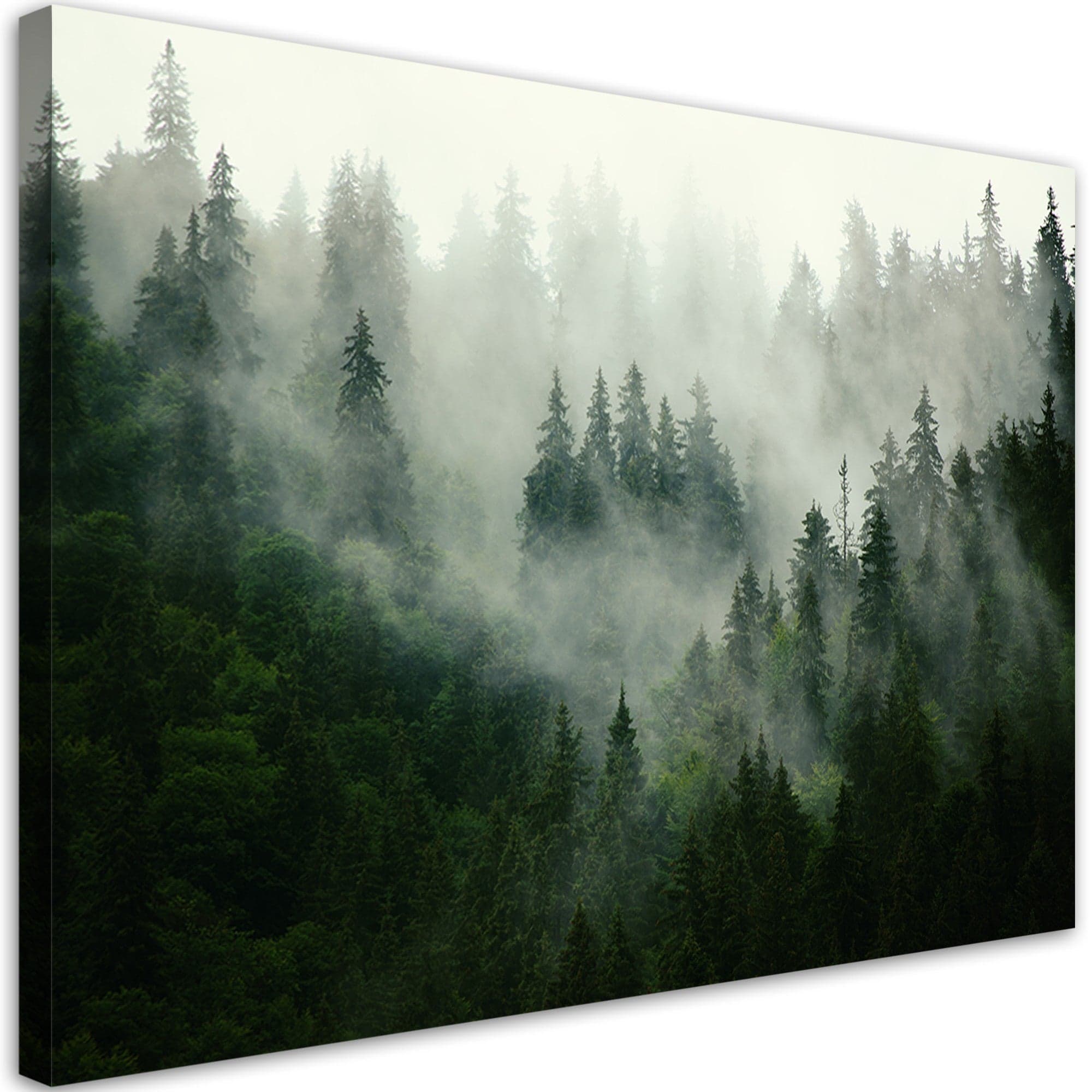 Quadro su tela, Foresta nella nebbia in Poster e stampe Collezione Casa - Trebisacce, commercioVirtuoso.it