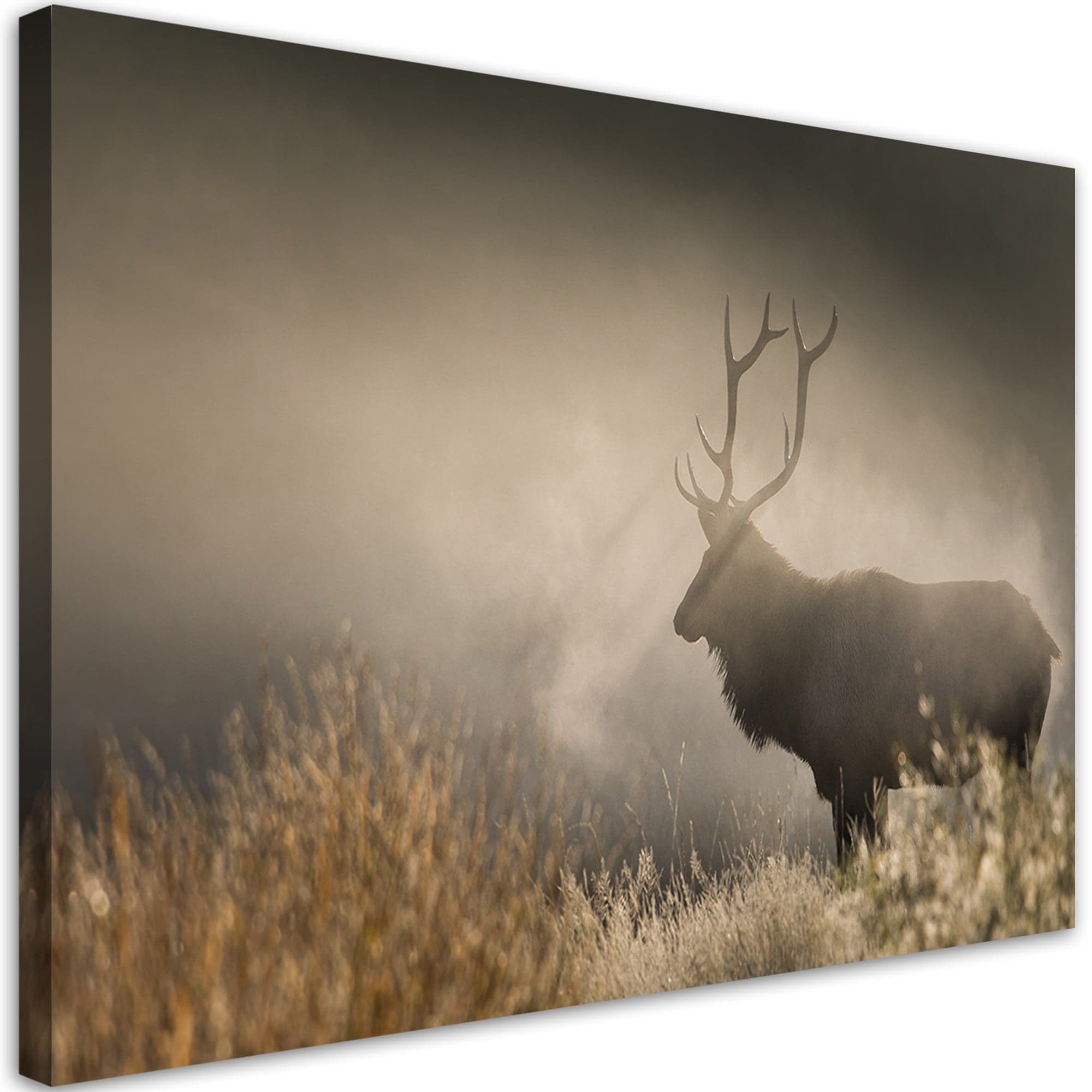 Quadro su tela, Jeleń nella natura nebbia in Poster e stampe Collezione Casa - Trebisacce, commercioVirtuoso.it