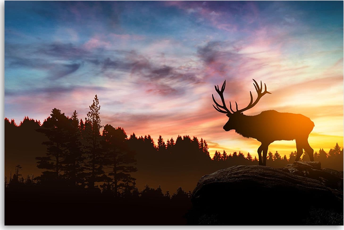 Quadro su tela, Deer al tramonto in Poster e stampe Collezione Casa - Trebisacce, commercioVirtuoso.it