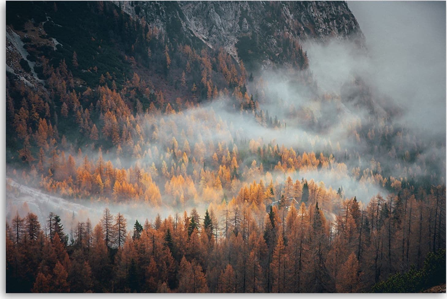 Quadro su tela, Foresta nella nebbia in Poster e stampe Collezione Casa - Trebisacce, commercioVirtuoso.it