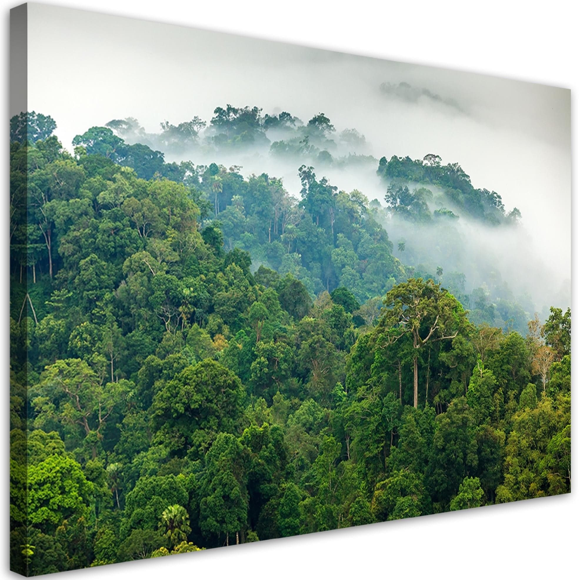 Quadro su tela, Foresta nella nebbia in Poster e stampe Collezione Casa - Trebisacce, commercioVirtuoso.it