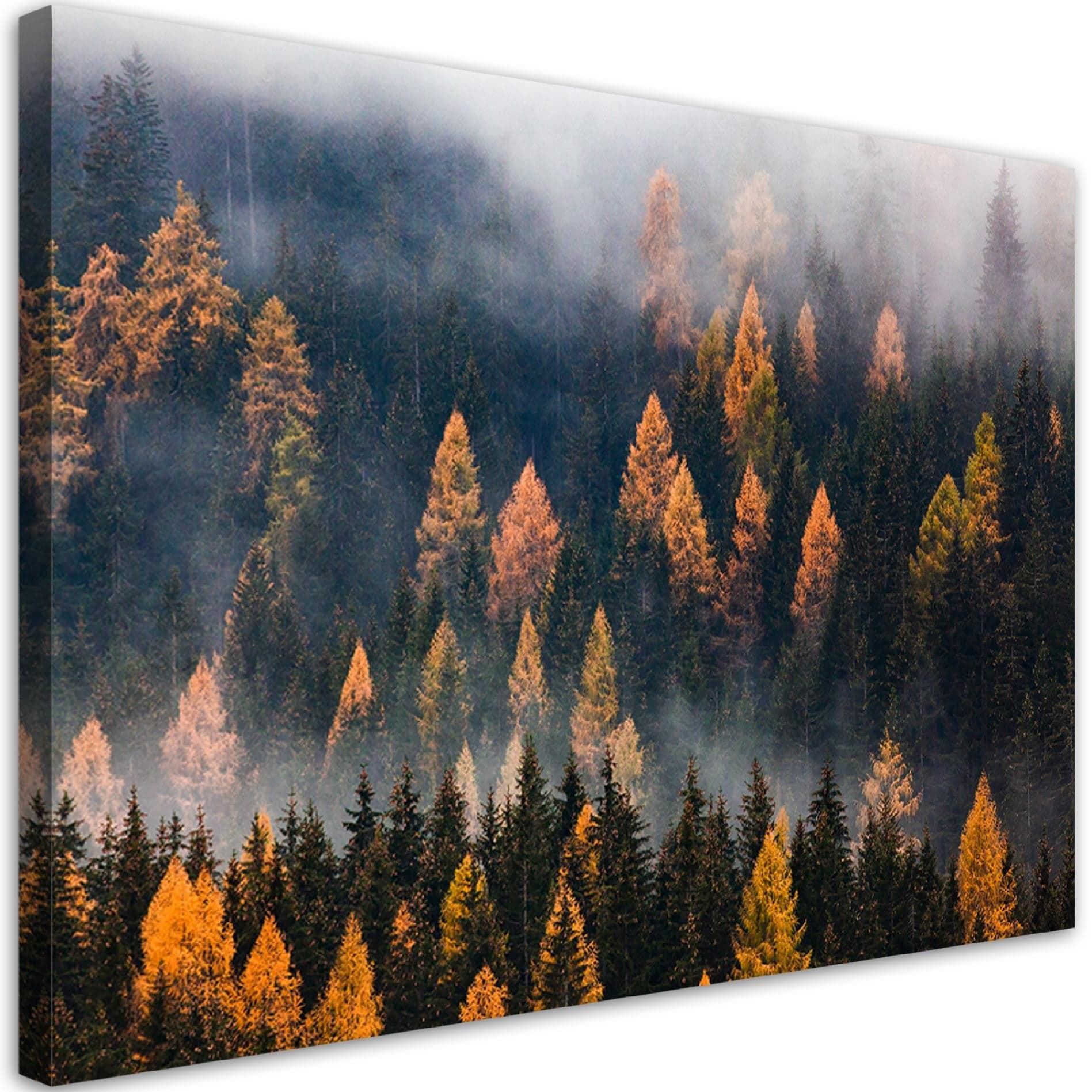 Quadro su tela, Alberi autunnali in Poster e stampe Collezione Casa - Trebisacce, commercioVirtuoso.it