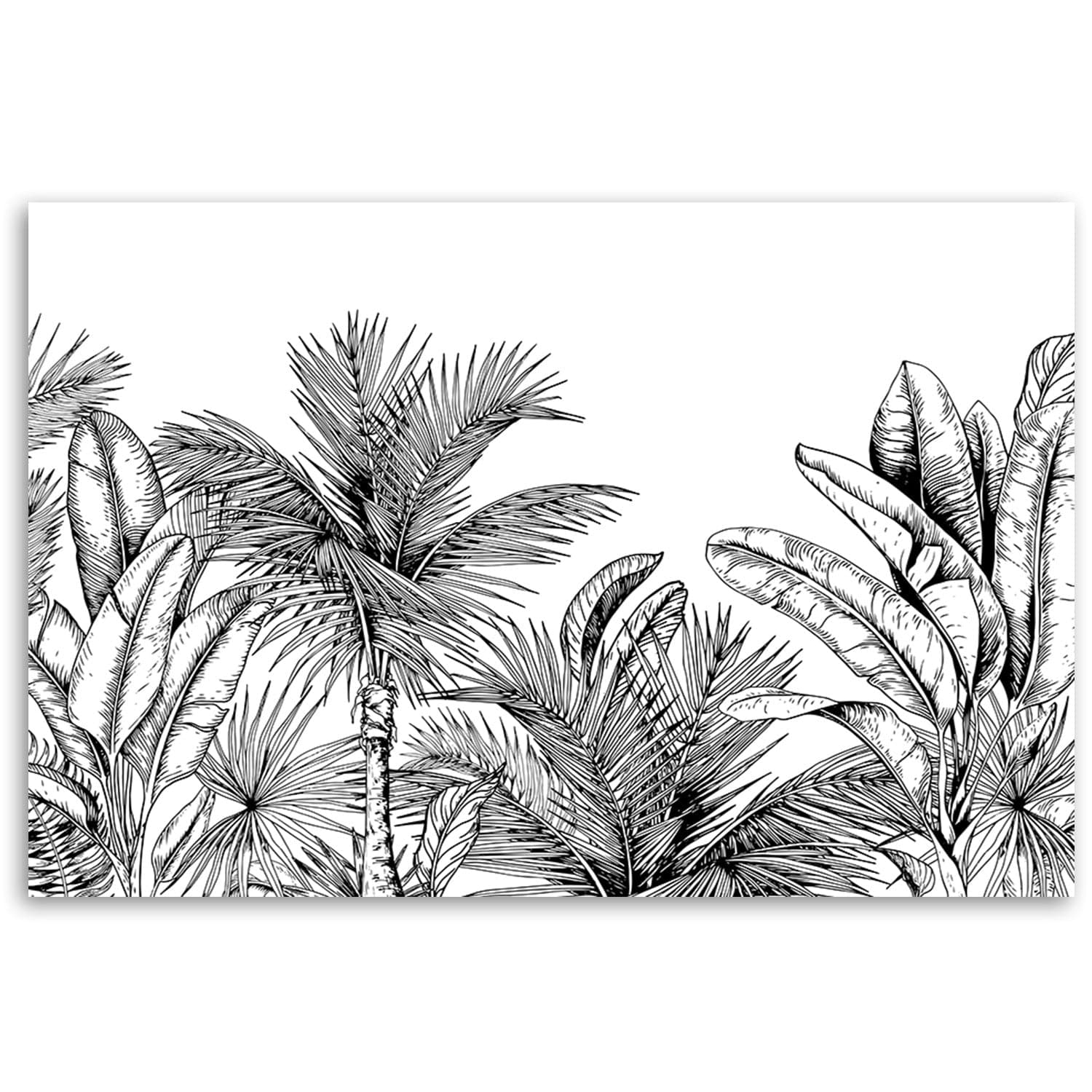 Quadro su tela, Foglie in bianco e nero in Poster e stampe Collezione Casa - Trebisacce, commercioVirtuoso.it
