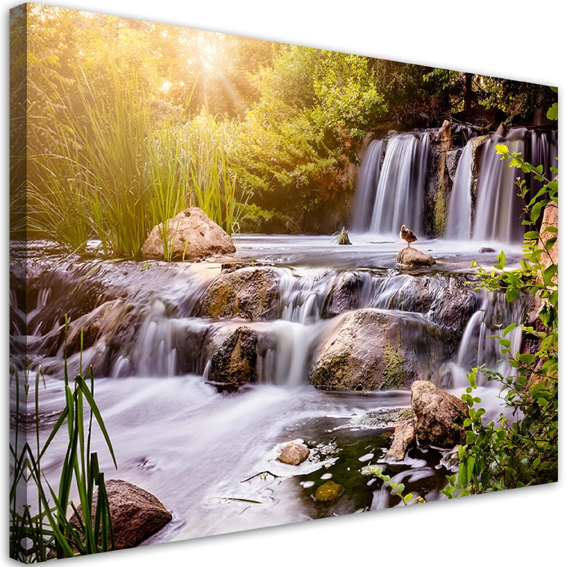 Quadro su tela, Cascata alla natura del tramonto in Poster e stampe Collezione Casa - Trebisacce, commercioVirtuoso.it