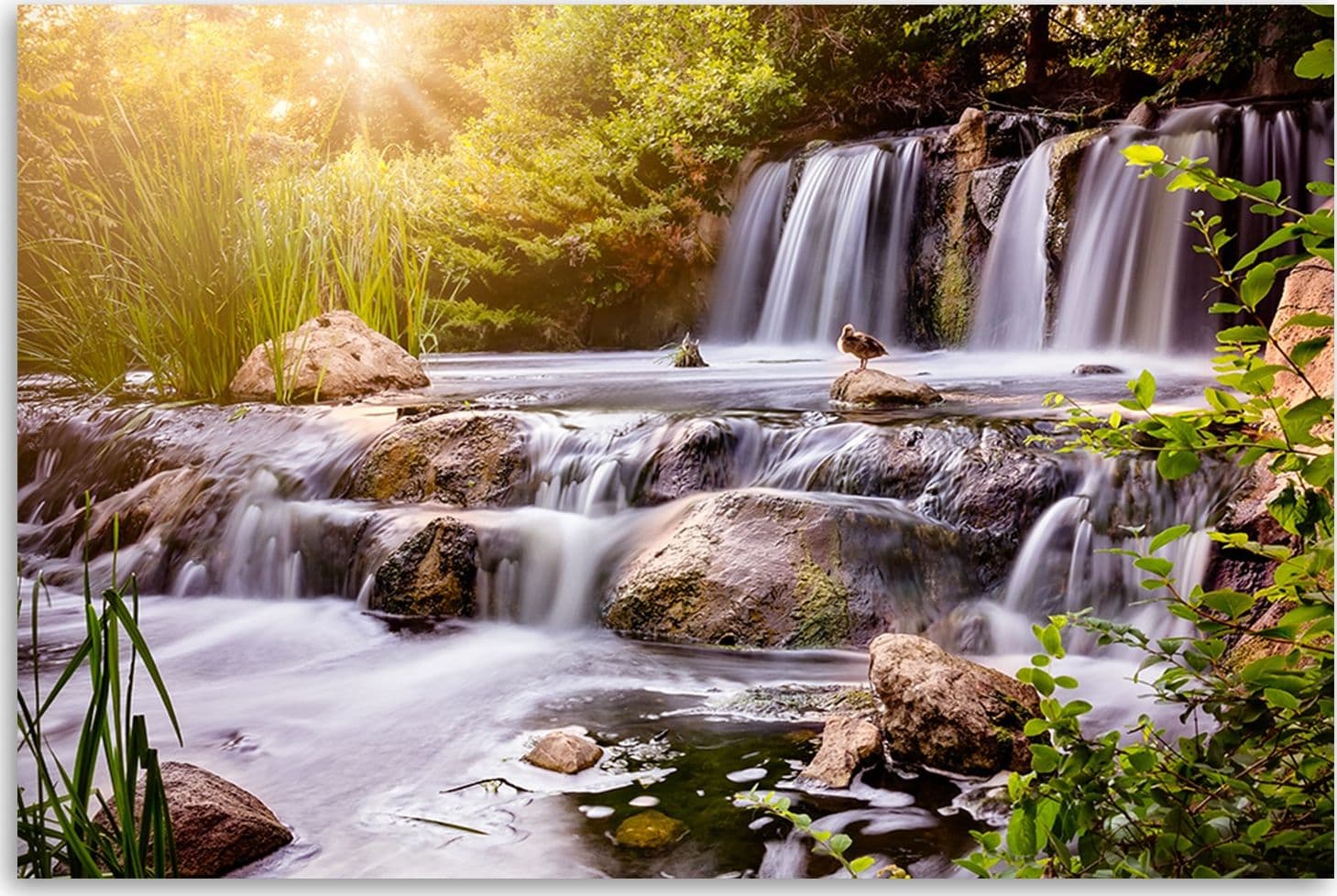 Quadro su tela, Cascata alla natura del tramonto in Poster e stampe Collezione Casa - Trebisacce, commercioVirtuoso.it