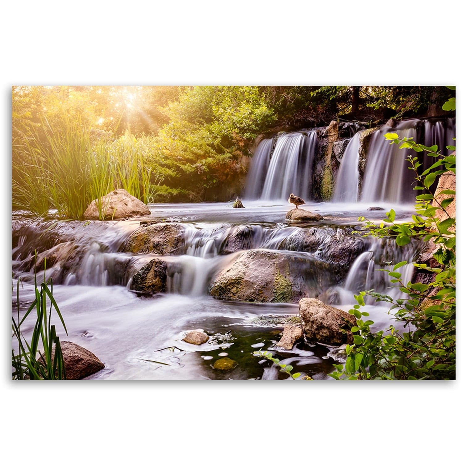 Quadro su tela, Cascata alla natura del tramonto in Poster e stampe Collezione Casa - Trebisacce, commercioVirtuoso.it