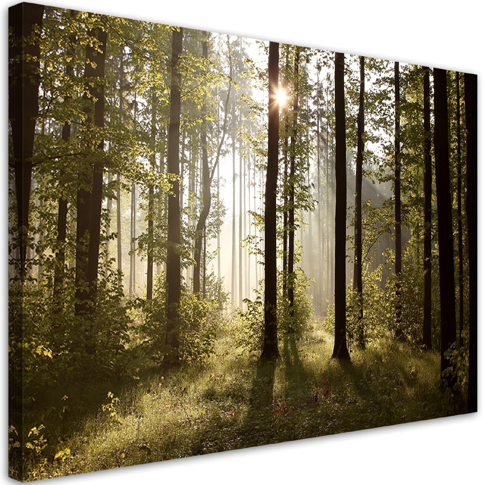 Quadro su tela, Mattina nella foresta in Poster e stampe Collezione Casa - Trebisacce, commercioVirtuoso.it