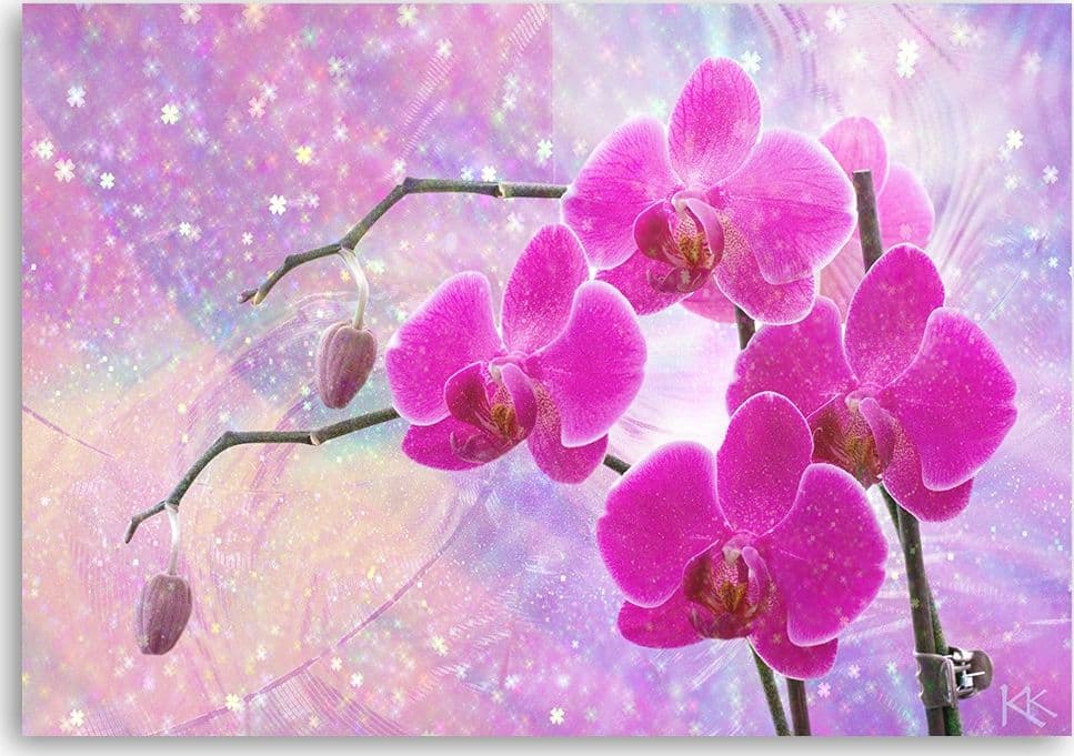 Quadro su tela, Astrazione orchidea essenziale in Poster e stampe Collezione Casa - Trebisacce, commercioVirtuoso.it