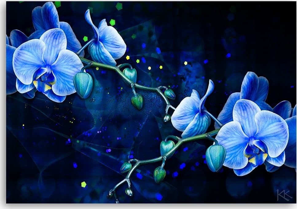 Quadro su tela, Fiore di orchidea blu in Poster e stampe Collezione Casa - Trebisacce, commercioVirtuoso.it