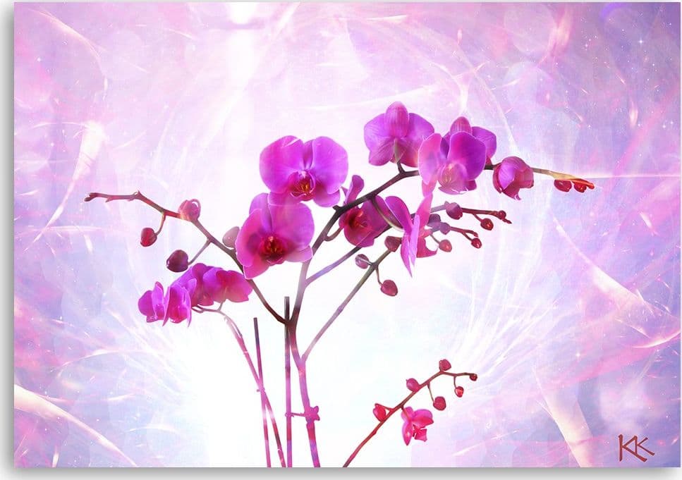 Quadro su tela, Orchidea essenziale in Poster e stampe Collezione Casa - Trebisacce, commercioVirtuoso.it