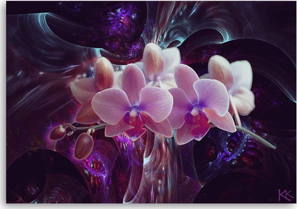 Quadro su tela, Orchidea bianca su uno sfondo scuro in Poster e stampe Collezione Casa - Trebisacce, commercioVirtuoso.it
