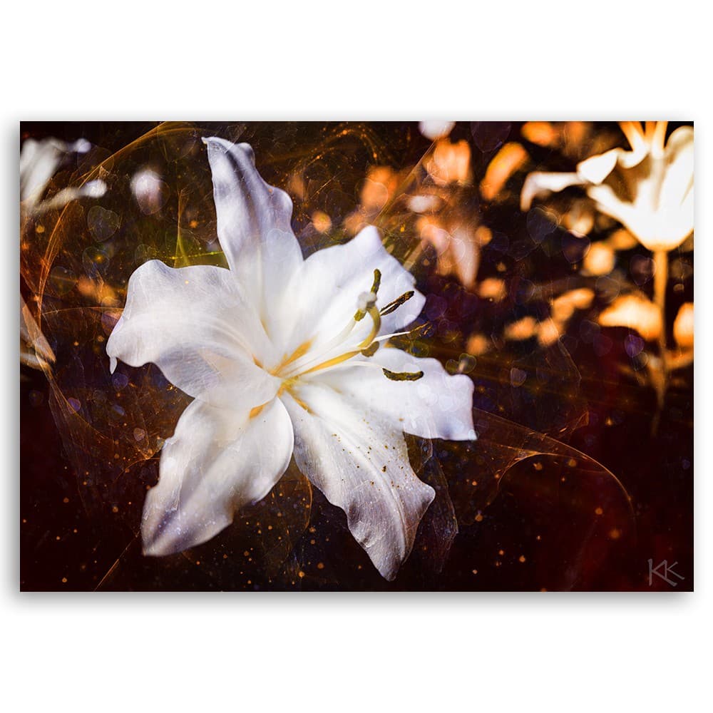 Quadro su tela, Lily bianco su uno sfondo marrone in Poster e stampe Collezione Casa - Trebisacce, commercioVirtuoso.it