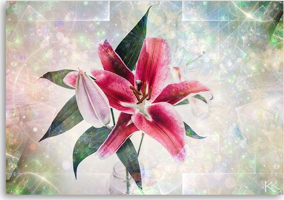 Quadro su tela, Lily rosa in Poster e stampe Collezione Casa - Trebisacce, commercioVirtuoso.it
