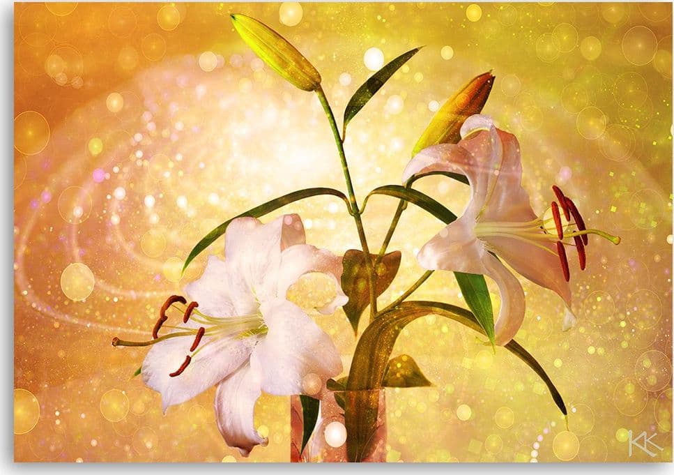 Quadro su tela, Lily su uno sfondo giallo in Poster e stampe Collezione Casa - Trebisacce, commercioVirtuoso.it