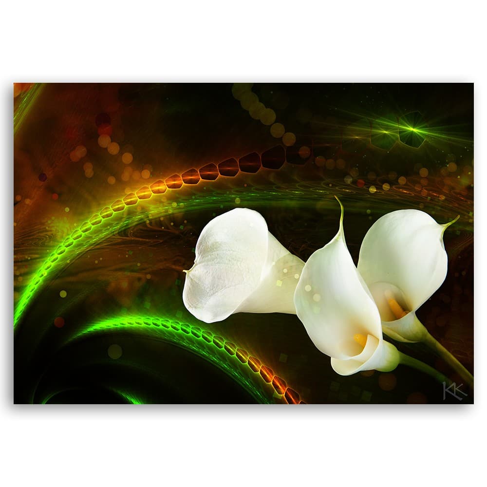 Quadro su tela, Fiore bianco sullo sfondo marrone in Poster e stampe Collezione Casa - Trebisacce, commercioVirtuoso.it