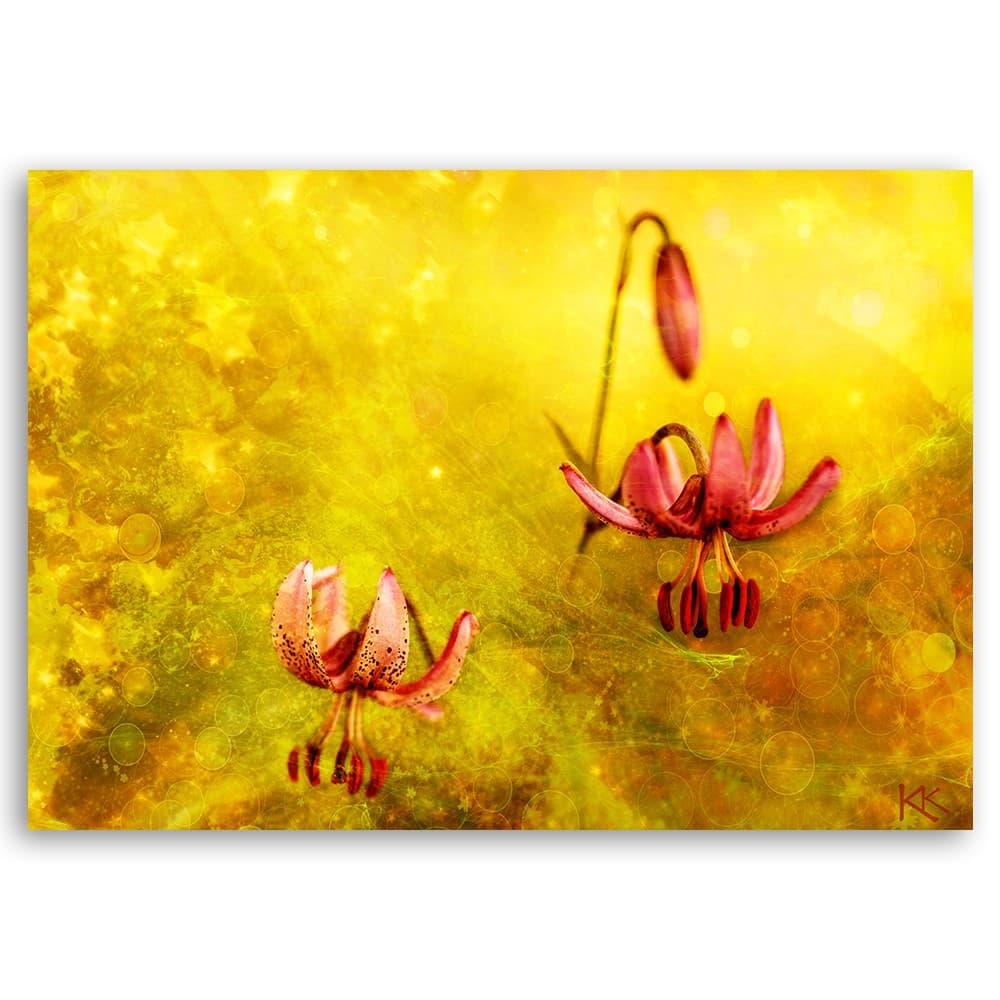 Quadro su tela, Fiori tuli appassiti in Poster e stampe Collezione Casa - Trebisacce, commercioVirtuoso.it