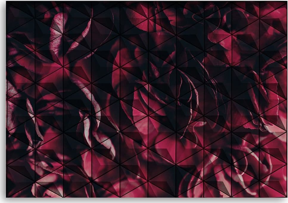 Quadro su tela, Astrazione geometrica rossa in Poster e stampe Collezione Casa - Trebisacce, commercioVirtuoso.it