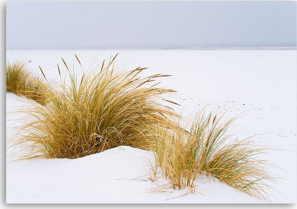 Quadro su tela, Dune su sabbia dorata in Poster e stampe Collezione Casa - Trebisacce, commercioVirtuoso.it