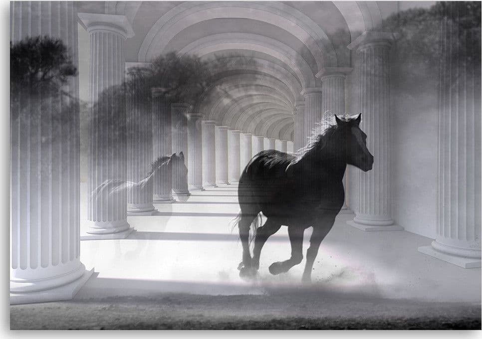 Quadro su tela, Correndo cavallo 3D in Poster e stampe Collezione Casa - Trebisacce, commercioVirtuoso.it