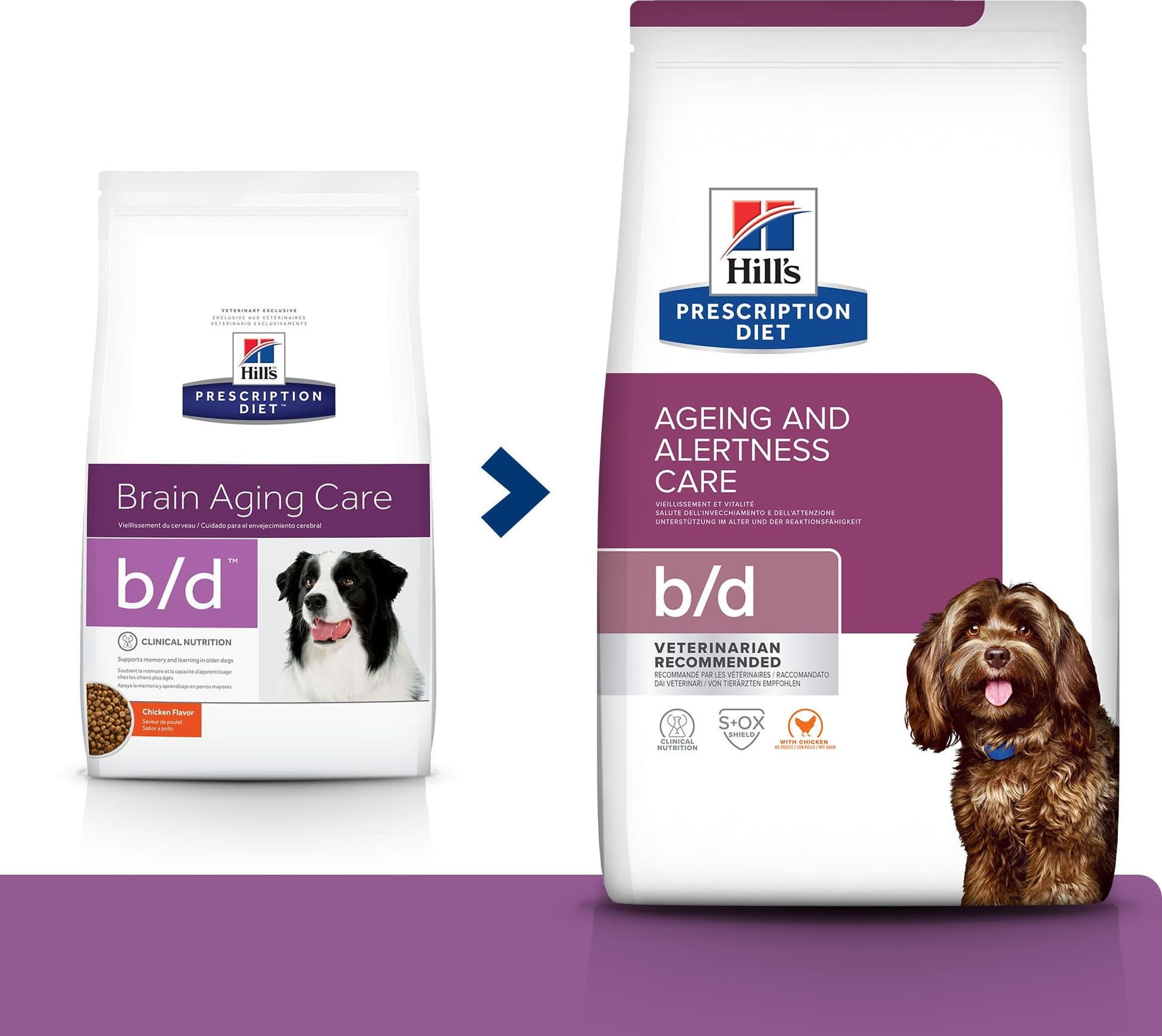 Hill's Prescription Diet Ageing Care secco Cani Adulti pollo 3 kg in Secco 101 Market - Poggibonsi, commercioVirtuoso.it