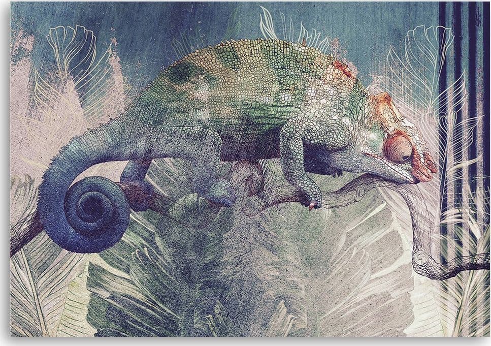 Quadro su tela, Camaleonte su un ramo in Poster e stampe Collezione Casa - Trebisacce, commercioVirtuoso.it