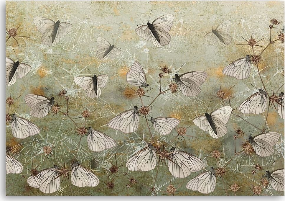 Quadro su tela, Farfalle astratte nel prato in Poster e stampe Collezione Casa - Trebisacce, commercioVirtuoso.it
