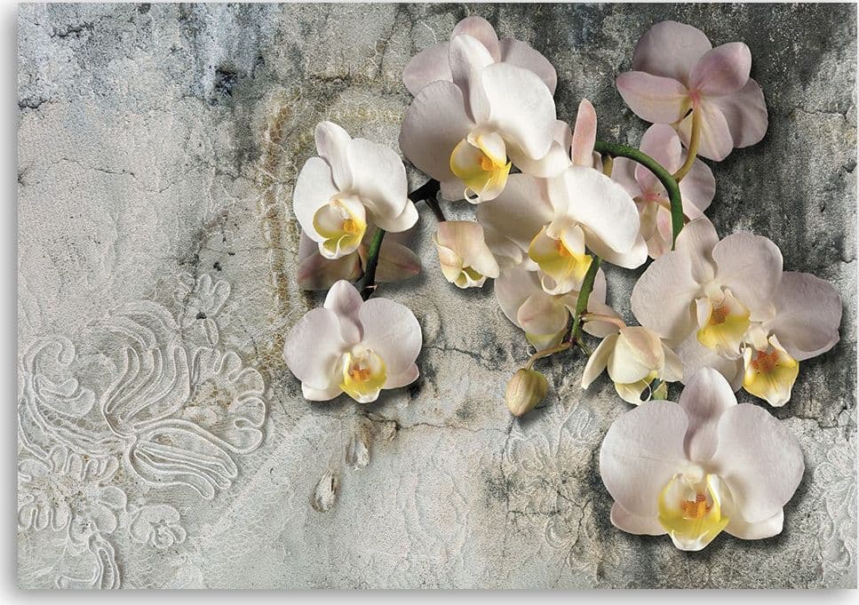 Quadro su tela, Fiori di orchidee soleggiate in Poster e stampe Collezione Casa - Trebisacce, commercioVirtuoso.it
