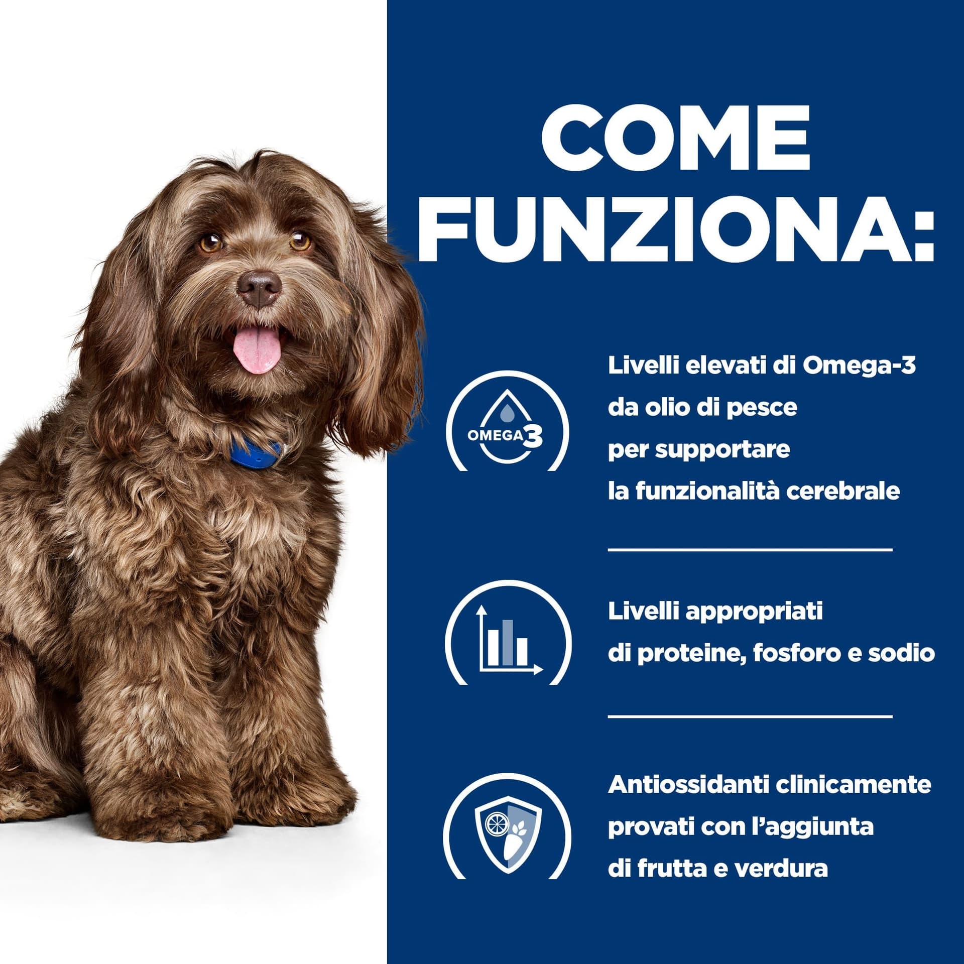 Hill's Prescription Diet Ageing Care secco Cani Adulti pollo 3 kg in Secco 101 Market - Poggibonsi, commercioVirtuoso.it