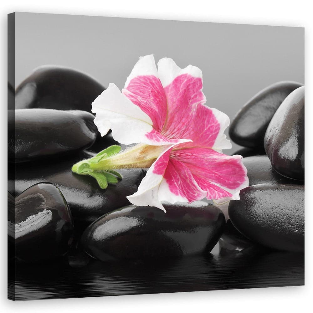Quadro su tela, Fiore rosa su pietre zen in Poster e stampe Collezione Casa - Trebisacce, commercioVirtuoso.it