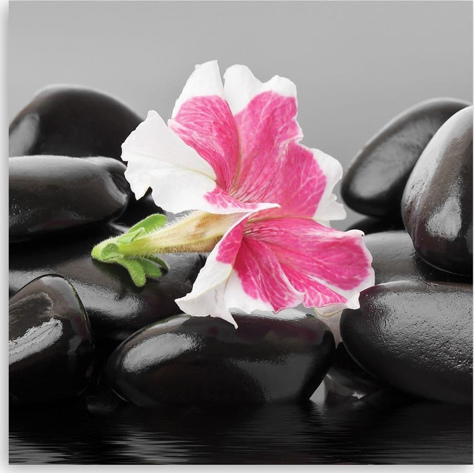 Quadro su tela, Fiore rosa su pietre zen in Poster e stampe Collezione Casa - Trebisacce, commercioVirtuoso.it