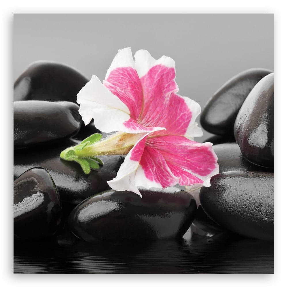 Quadro su tela, Fiore rosa su pietre zen in Poster e stampe Collezione Casa - Trebisacce, commercioVirtuoso.it