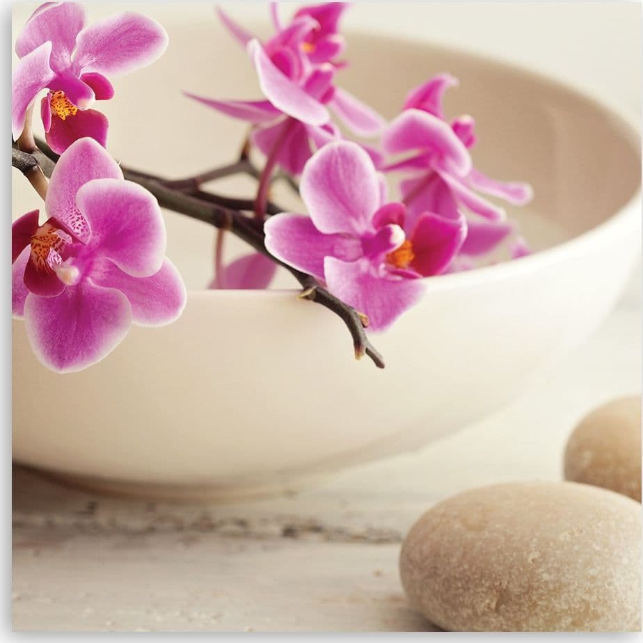 Quadro su tela, Orchidee rosa nel piatto in Poster e stampe Collezione Casa - Trebisacce, commercioVirtuoso.it