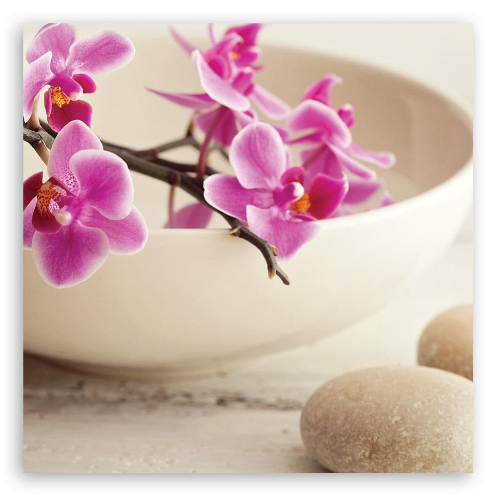 Quadro su tela, Orchidee rosa nel piatto in Poster e stampe Collezione Casa - Trebisacce, commercioVirtuoso.it
