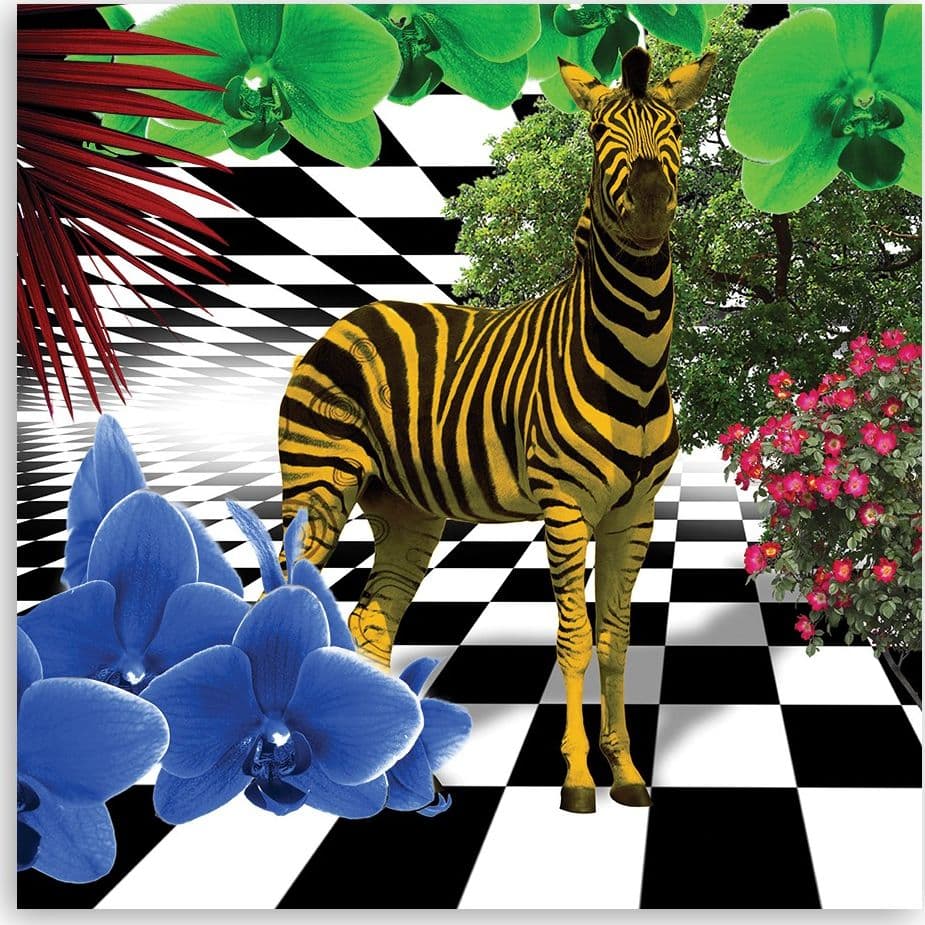 Quadro su tela, Animali colorati di natura zebra in Poster e stampe Collezione Casa - Trebisacce, commercioVirtuoso.it