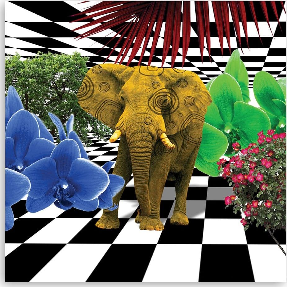 Quadro su tela, Elefante colorato in Poster e stampe Collezione Casa - Trebisacce, commercioVirtuoso.it